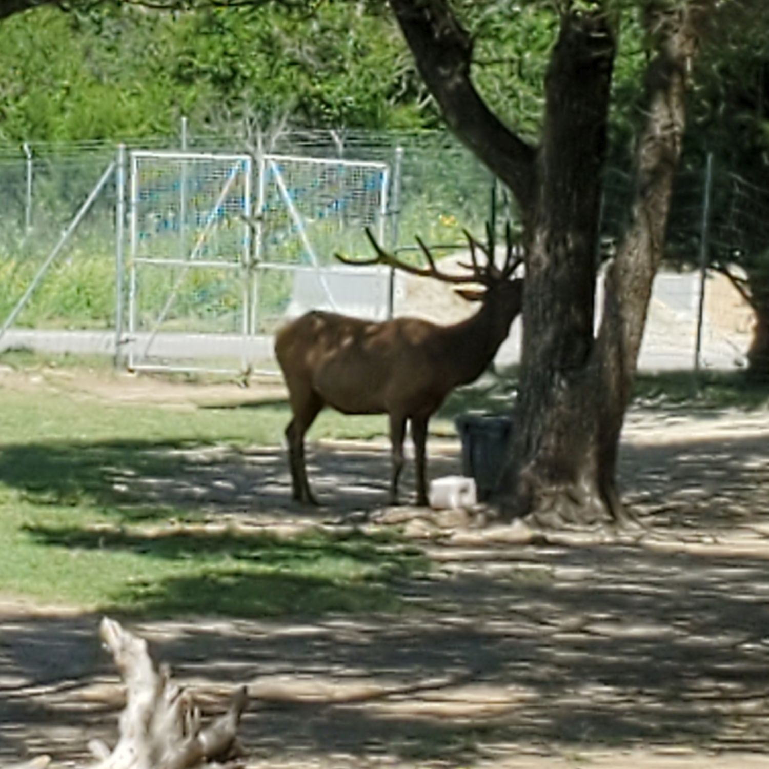 Sedgwick County Zoo 